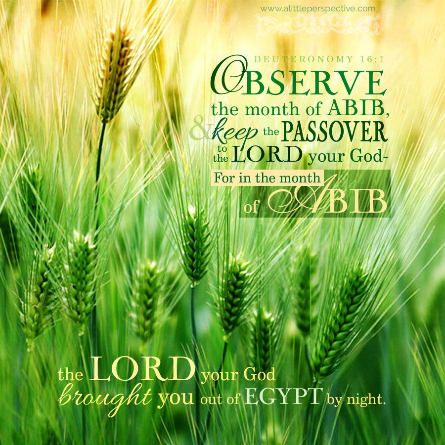 Odon Obadyah Ministries, Inc.