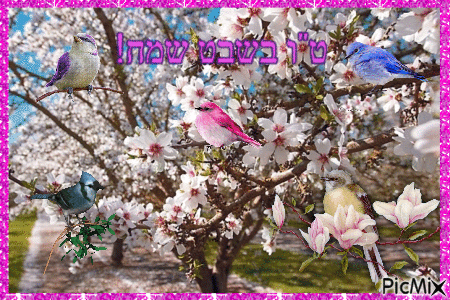 Odon Obadyah Ministries, Inc.