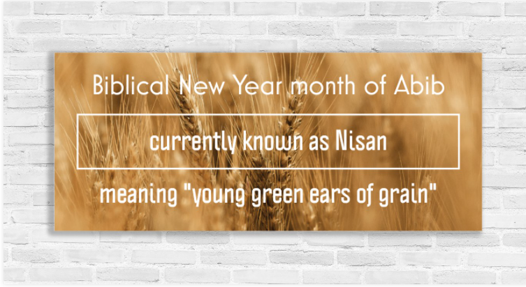 Odon Obadyah Ministries, Inc.